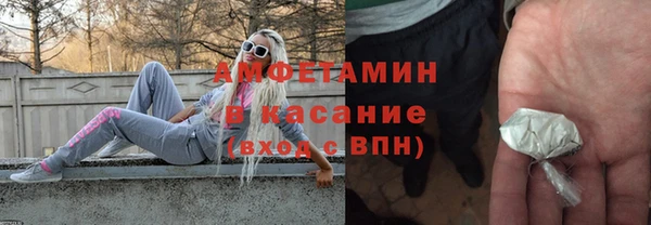 ПСИЛОЦИБИНОВЫЕ ГРИБЫ Новозыбков