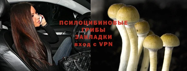 герыч Новокубанск