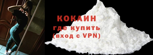 ПСИЛОЦИБИНОВЫЕ ГРИБЫ Новозыбков