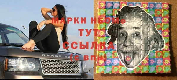 ПСИЛОЦИБИНОВЫЕ ГРИБЫ Новозыбков