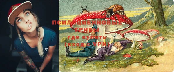 прущая мука Новодвинск