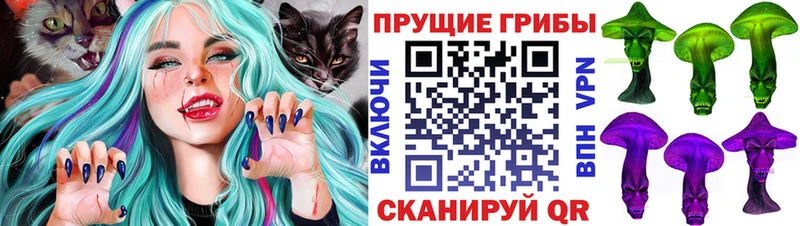 Псилоцибиновые грибы MAGIC MUSHROOMS  что такое наркотик  Иноземцево 